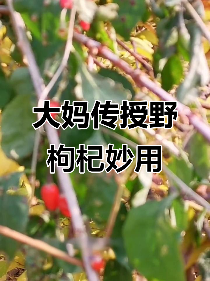 山村大妈分享民间土方,晒干泡茶治手脚脱皮