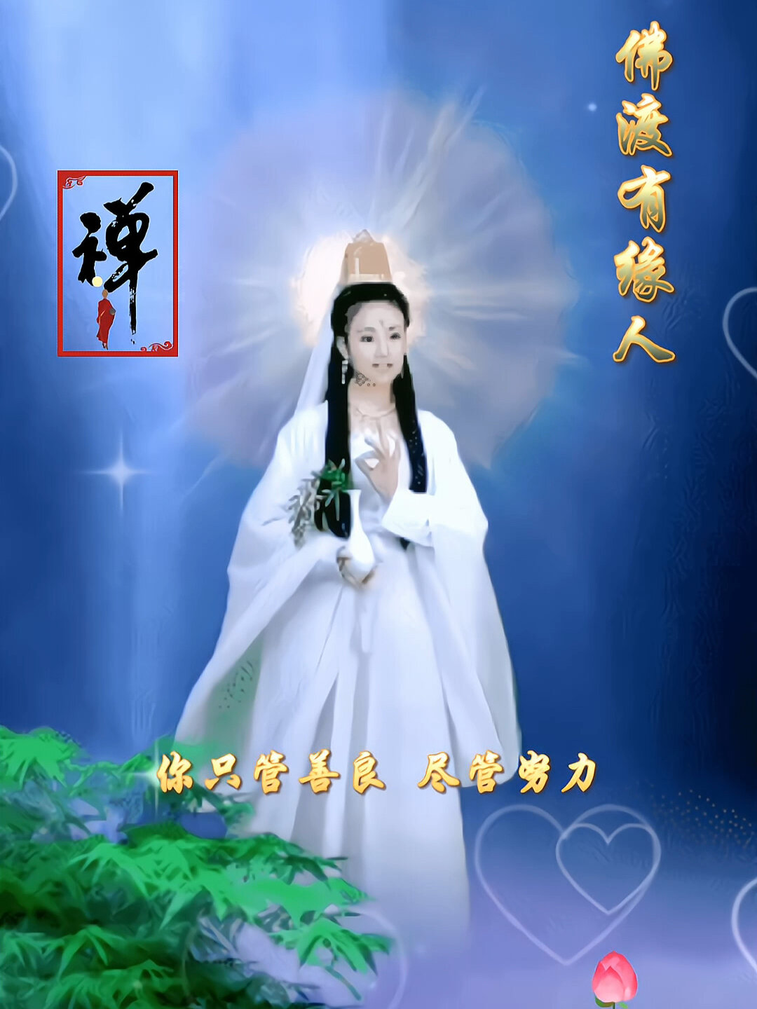 全屏动态壁纸