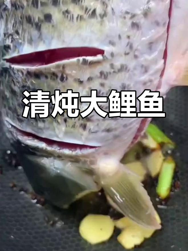 去除鱼腥,清炖大鲤鱼的完美做法