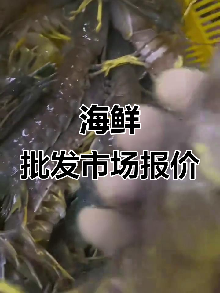 2025年海鲜市场行情:帝王蟹、大皮皮虾价格一览
