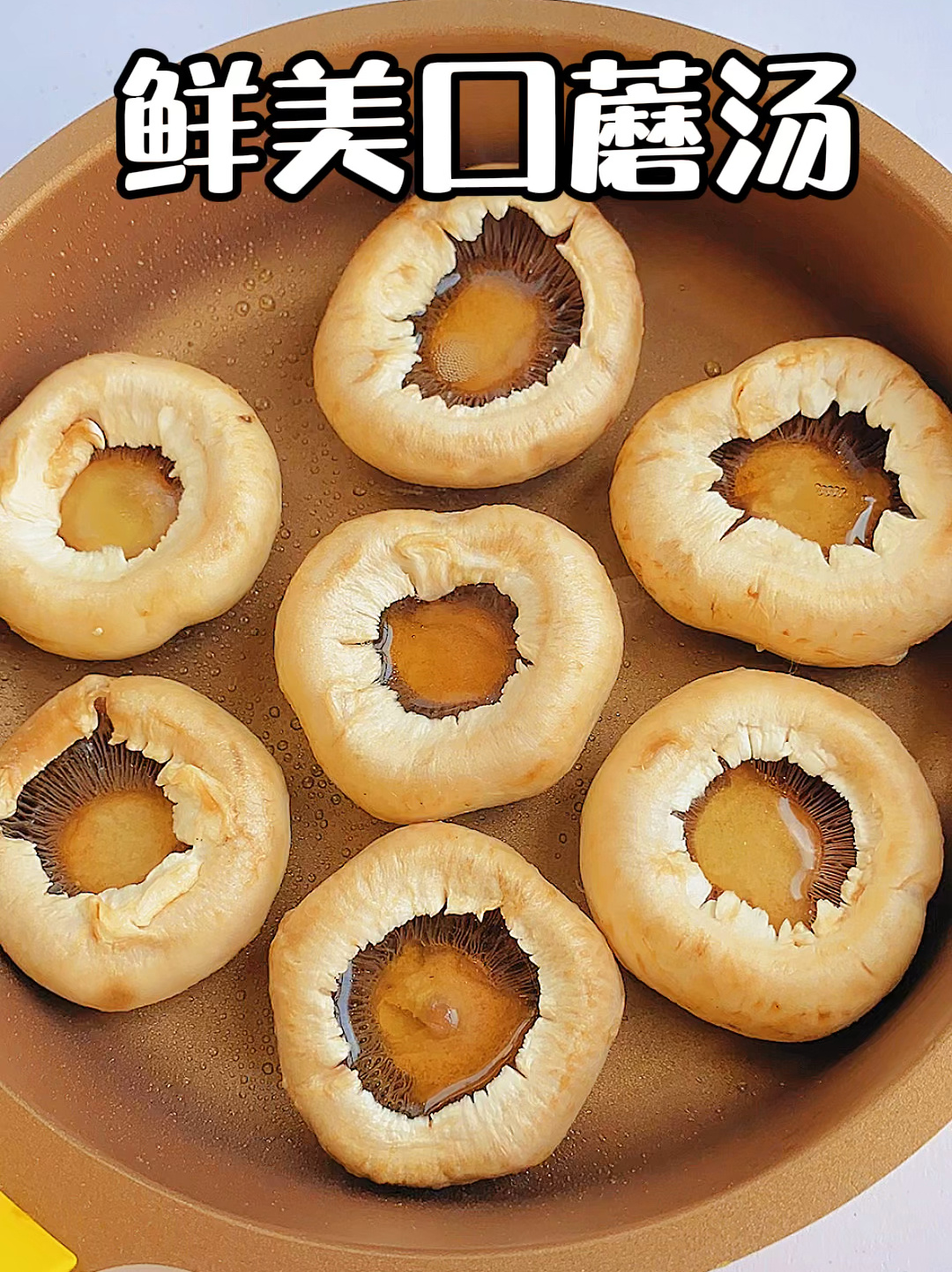 口蘑汤12+|看着平平无奇的口蘑汤,味道鲜美