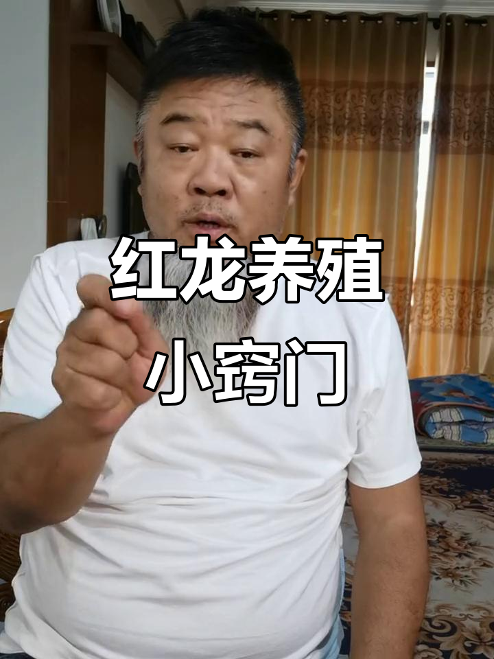 印尼红龙养殖技巧大揭秘:如何用镊子搅动鱼缸,让水质更佳