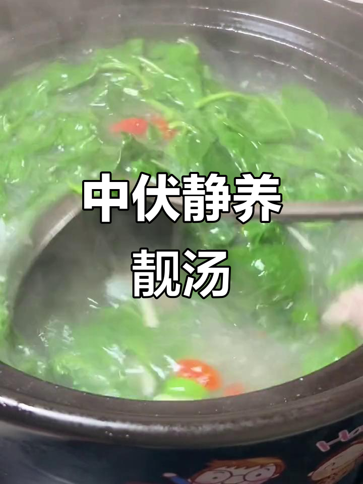 三伏天中伏养生,枸杞叶猪肝瘦肉汤清肝明目