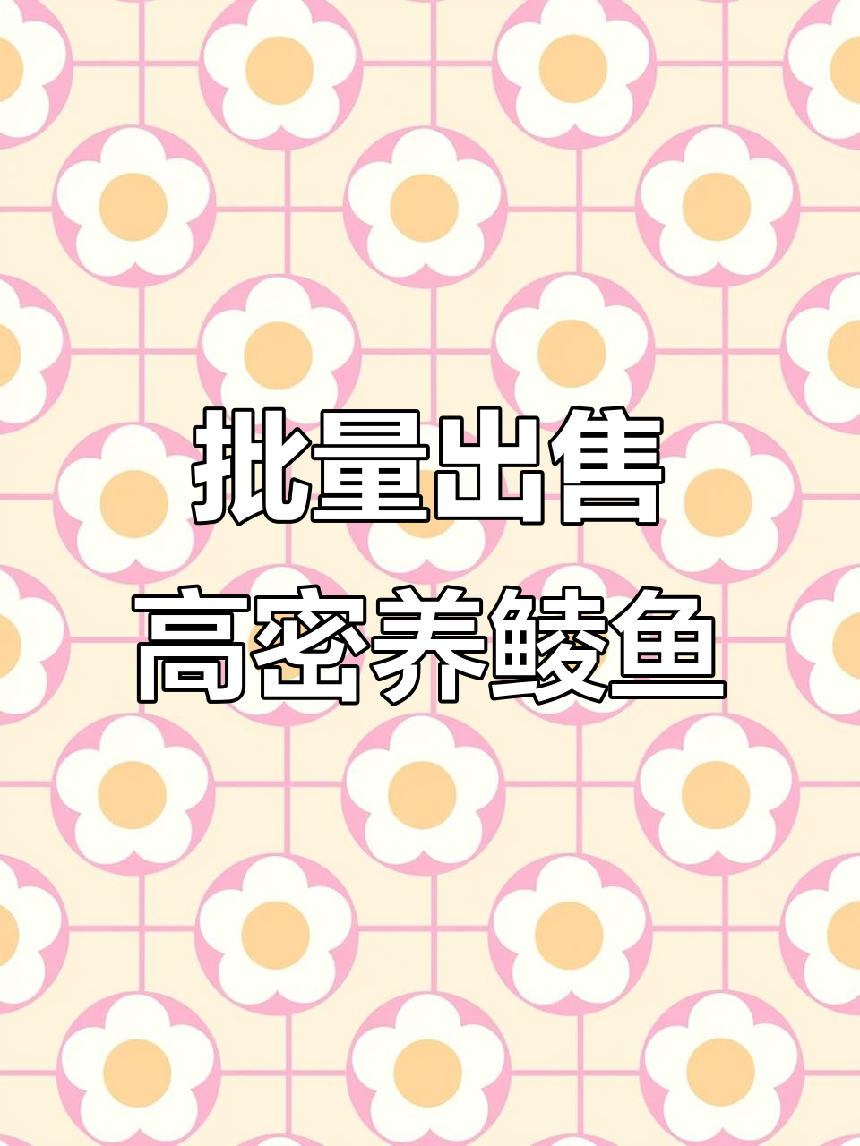 高密度养殖鲮鱼,大量供应市场