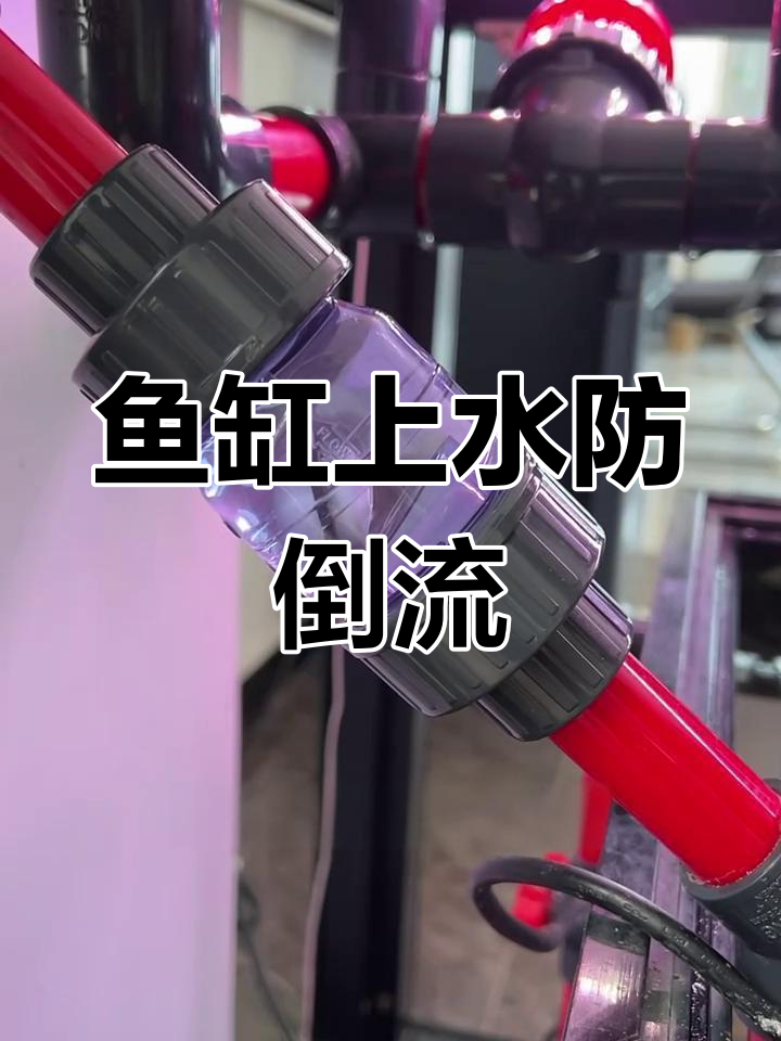 鱼缸底滤必备:止逆阀如何防止水回流