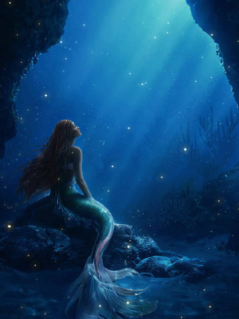 真人版小美人鱼电影海报 这版海报好看哎,看起来很还原动画版哈莉·贝利扮演的爱丽儿坐在石头上