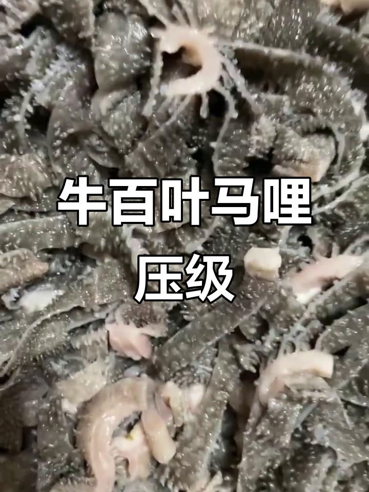 今晚牛百叶马哩压级,六斤白菜配石榴凉粉大快朵颐