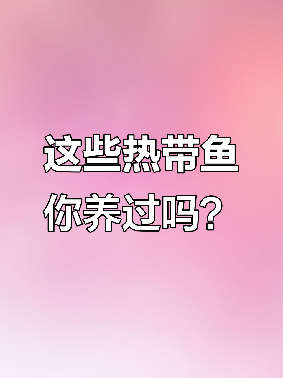 热带鱼缸造景与清理技巧,黑线飞狐、南阳指数全解析