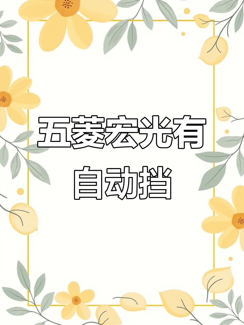 五菱宏光面包车竟然有自动挡?这操作简直让人笑疯了