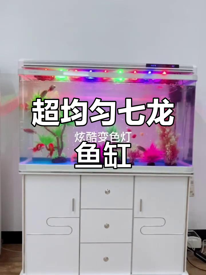 七龙鱼缸：超长过滤、触屏水泵，乌龟高清玻璃体验
