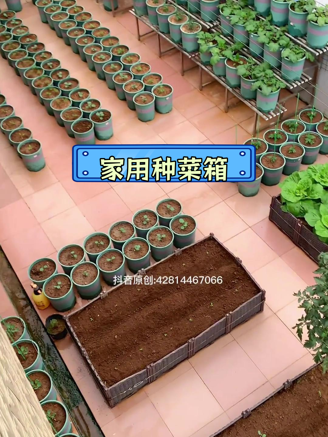 轻便种菜箱,阳台楼顶种植无忧