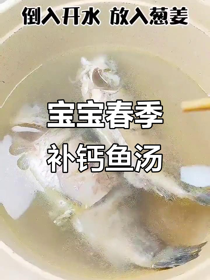 8月仍是补钙好时机,鲫鱼豆腐汤助宝宝成长