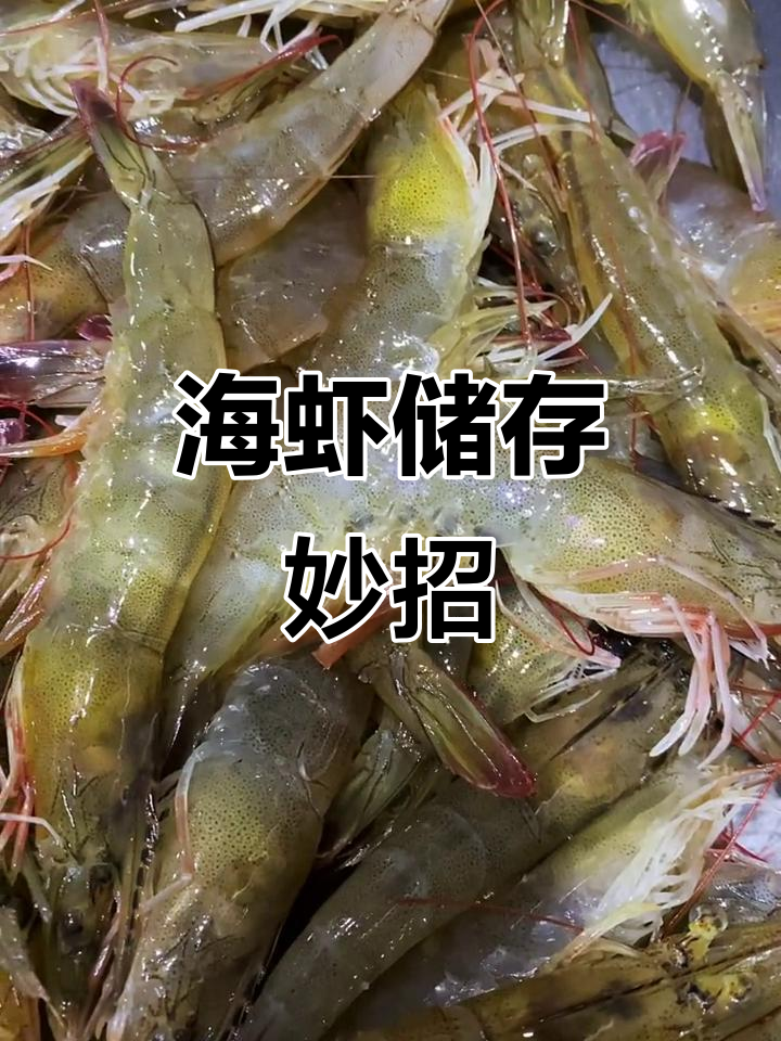 教你如何用矿泉水瓶保存海虾,冷冻一年味道如新