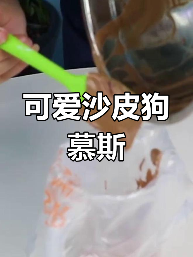 萌态十足的沙皮狗慕斯,简直舍不得吃