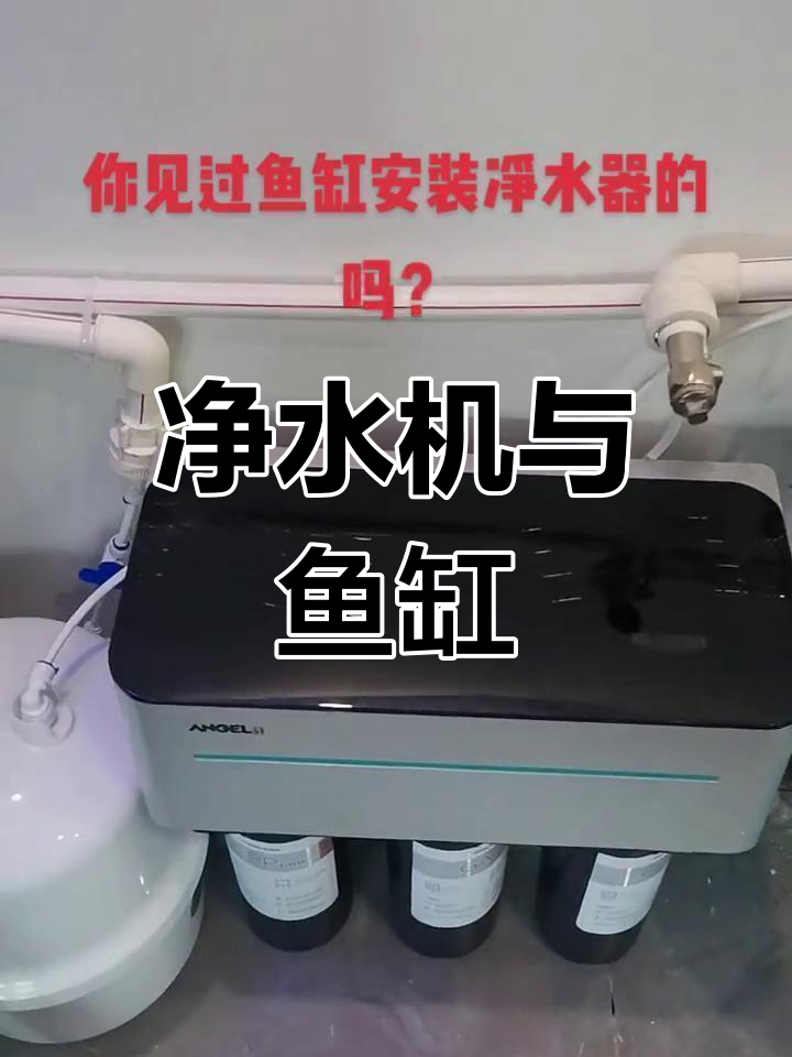 净水器也能安装鱼缸?