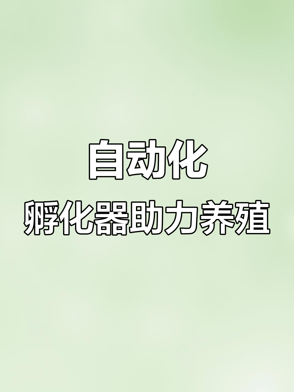 自动孵化机让养殖更简单,芦丁鸡、鹅鸽都能轻松孵出