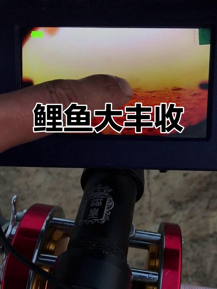 鲤鱼群疯狂来袭,佳明3D探鱼器精准捕捉