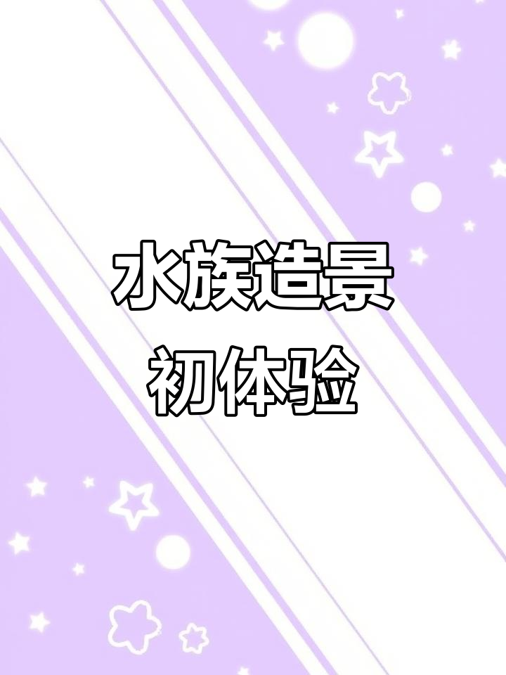 第一次尝试水族造景，溪流生态缸制作全过程