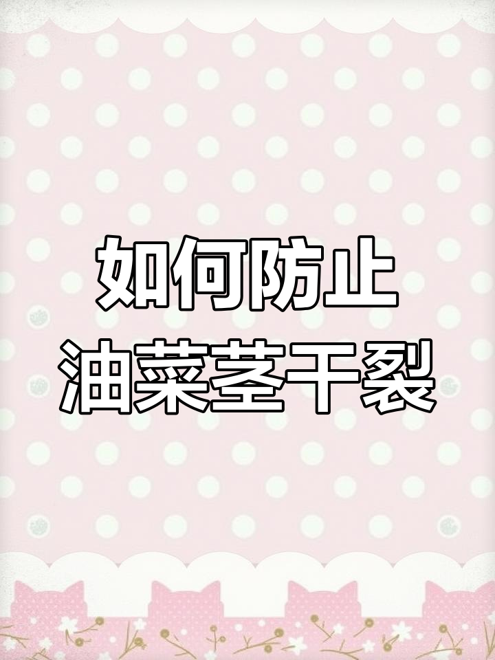 油菜茎秆开裂原因及解决方法