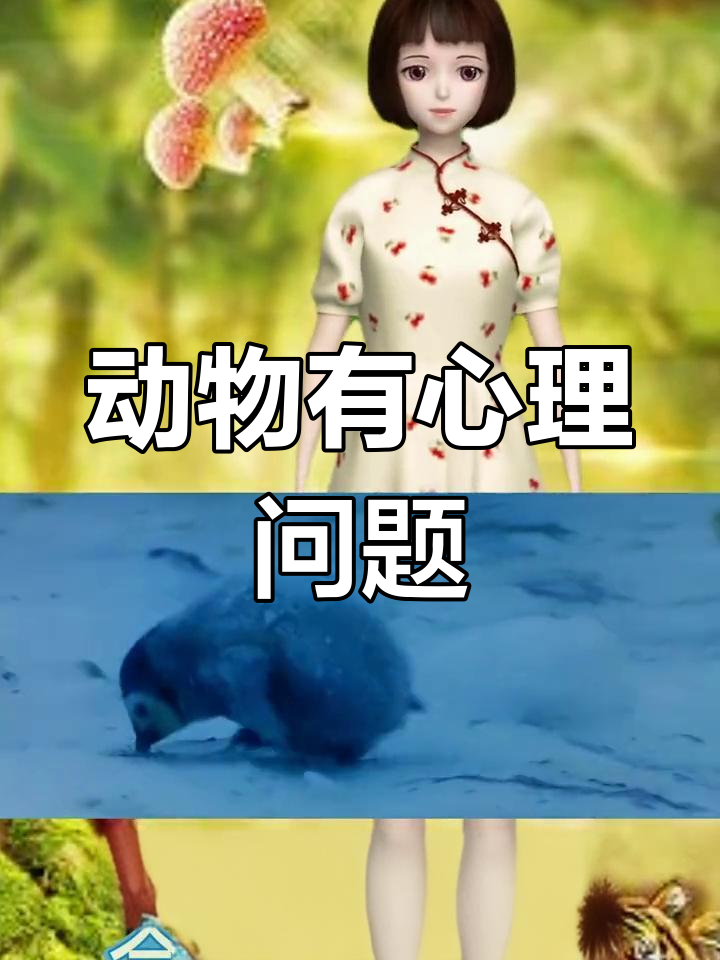 动物也会得心理疾病,企鹅的“抑郁症”你知道吗?