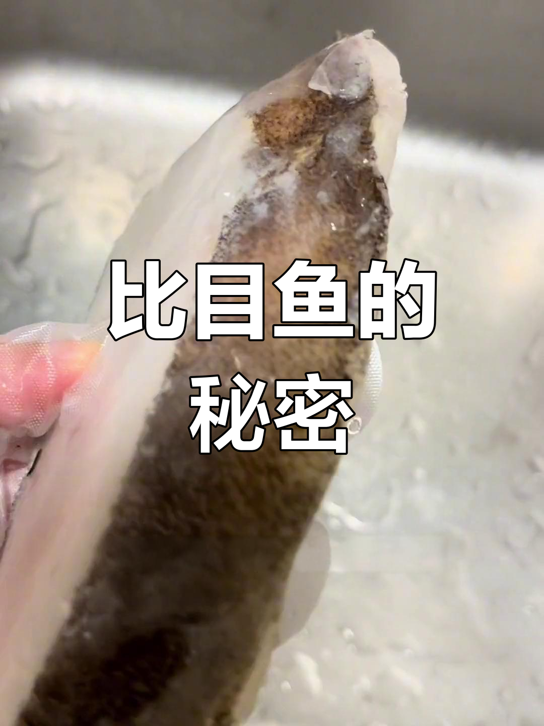 试试格陵兰比目鱼,看看煮熟后能缩多少!