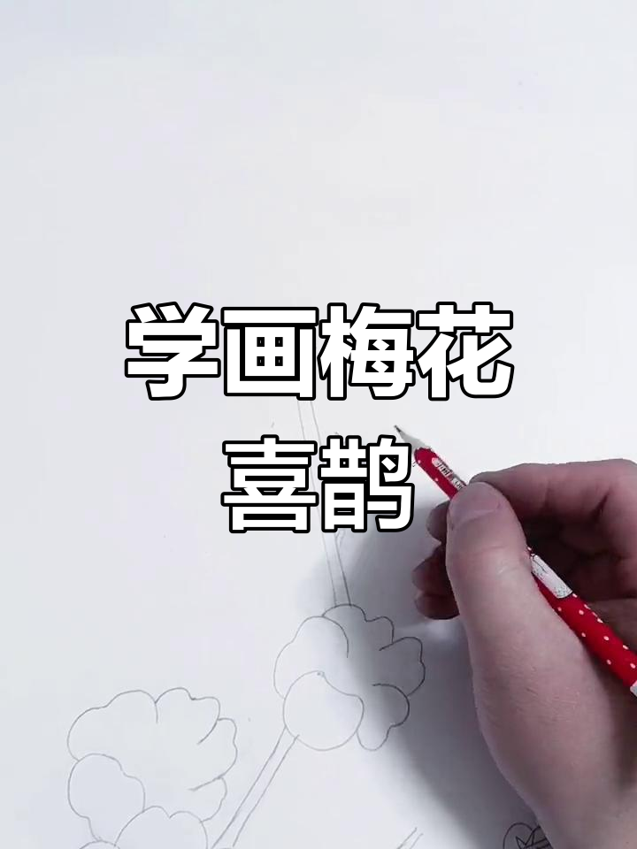 素描梅花喜鹊教程,轻松学会画梅