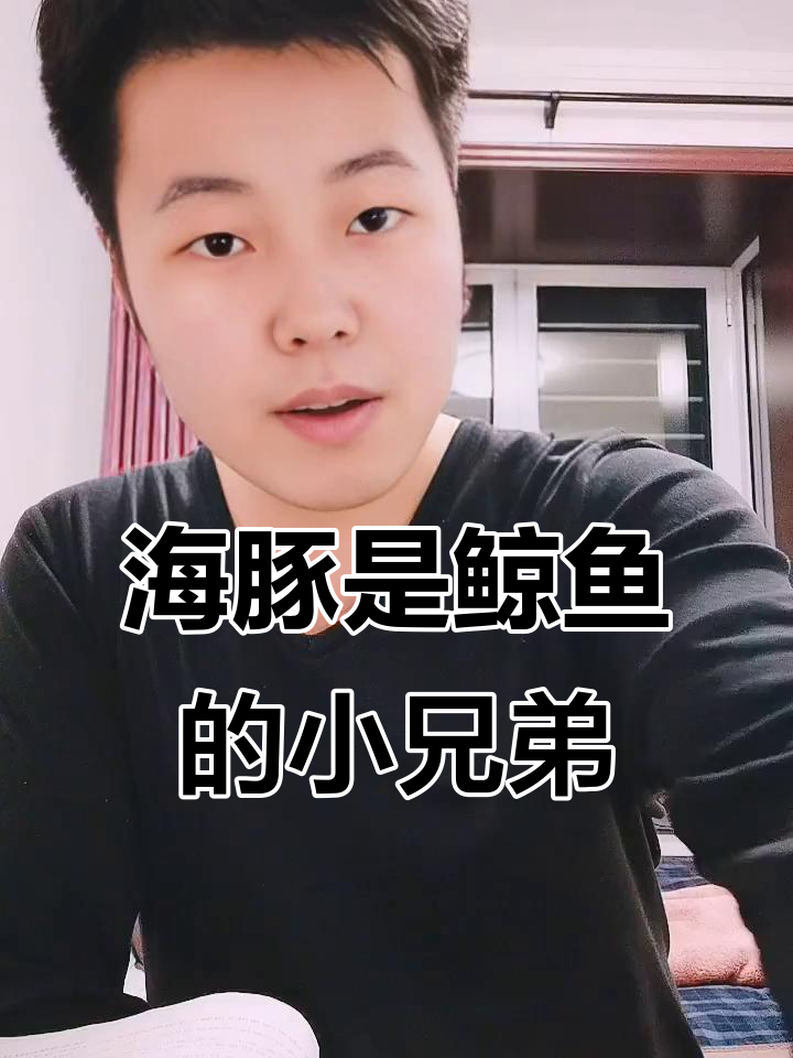 鲸鱼和海豚真的是两种动物吗？揭秘它们的关系