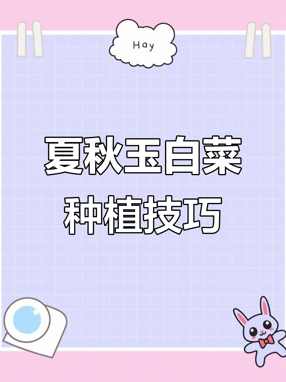 夏季白菜新选择,耐热抗湿品种推荐