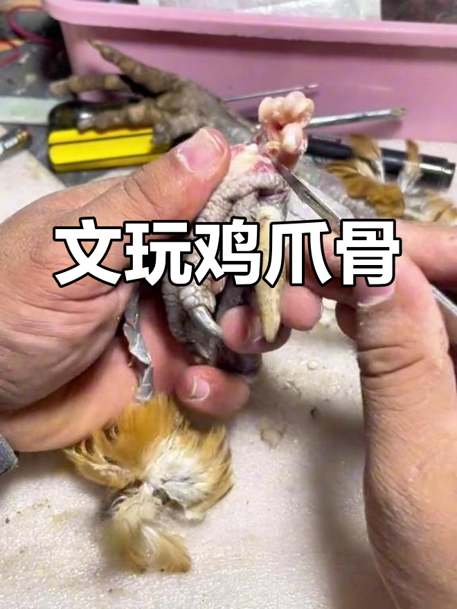 手工打磨鸡爪骨,精致文玩,保证让你满意!