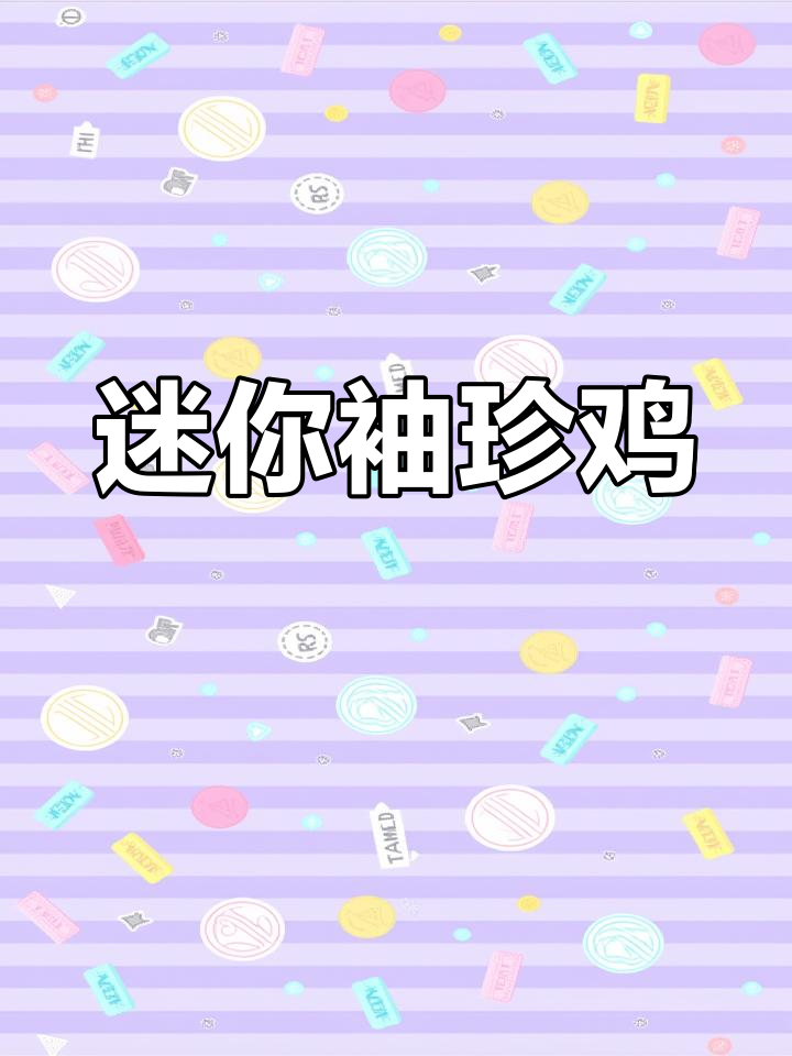 世界最小袖珍鸡,萌态十足