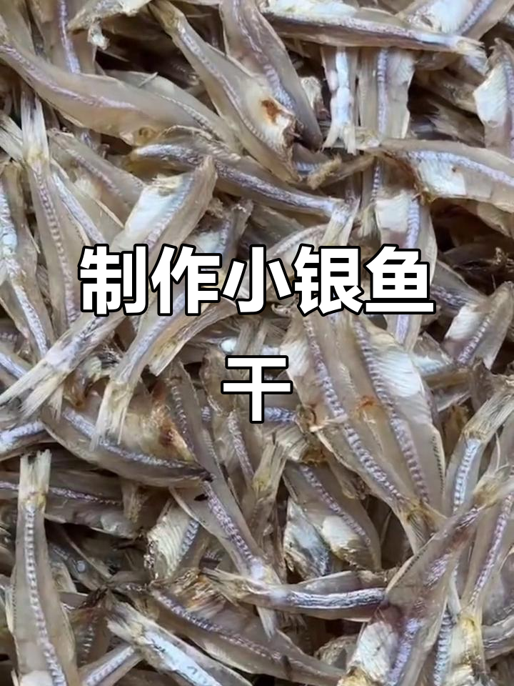 小银鱼干:晒制技巧与美味秘诀