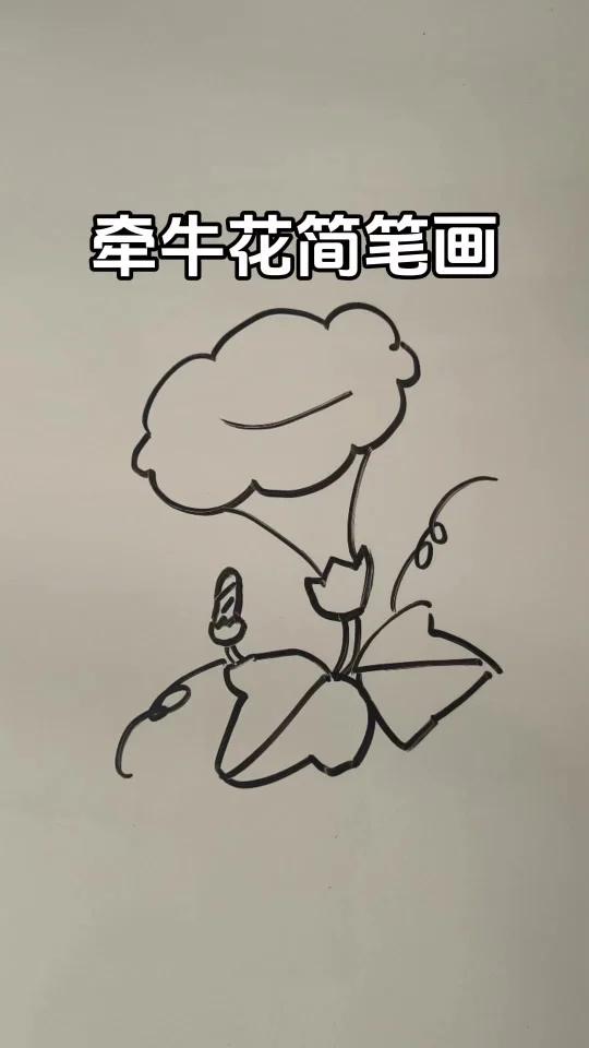 坚持画画!简笔画花朵