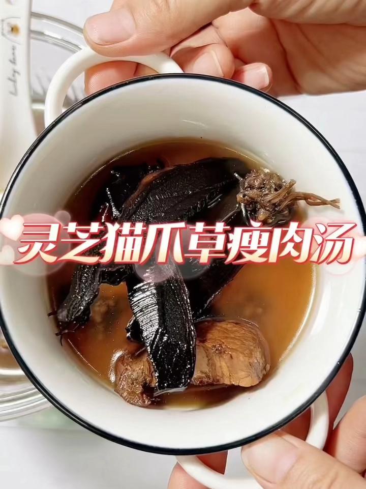 灵芝猫爪草瘦肉汤|养肝护肝|化痰散结