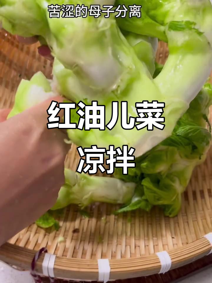 四川冬日必备小菜,红油儿菜凉拌做法大揭秘