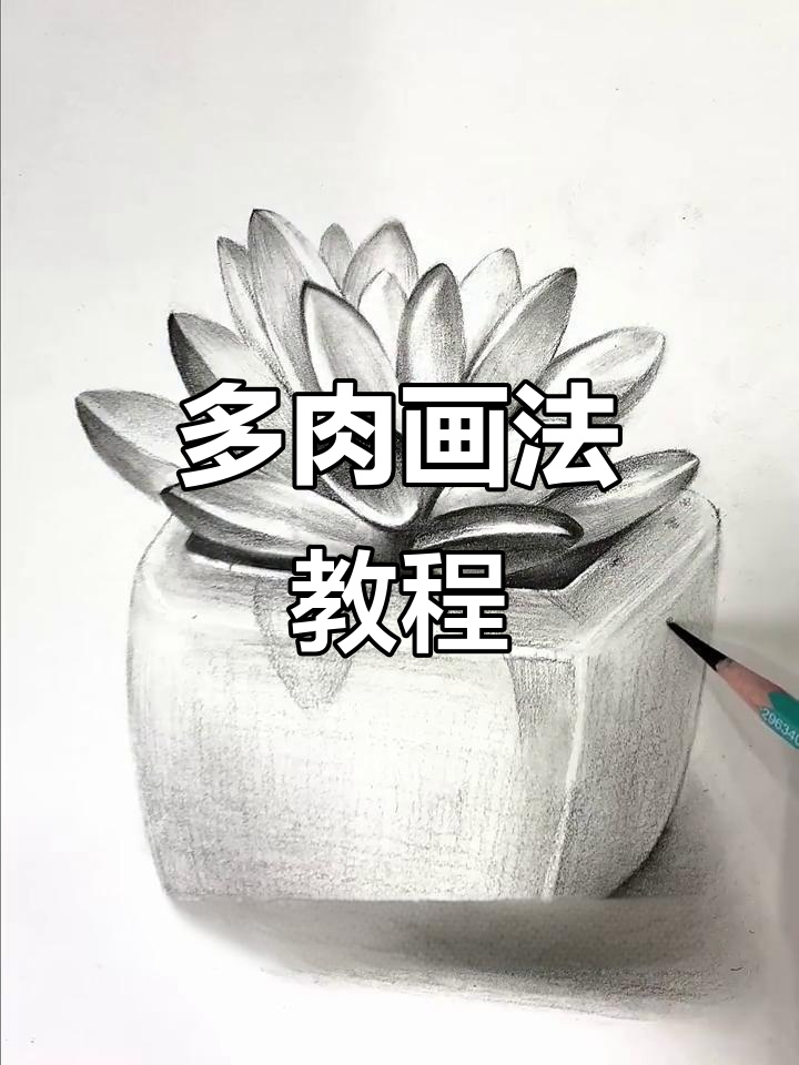 轻松画出可爱多肉，步骤详解教你一步步搞定