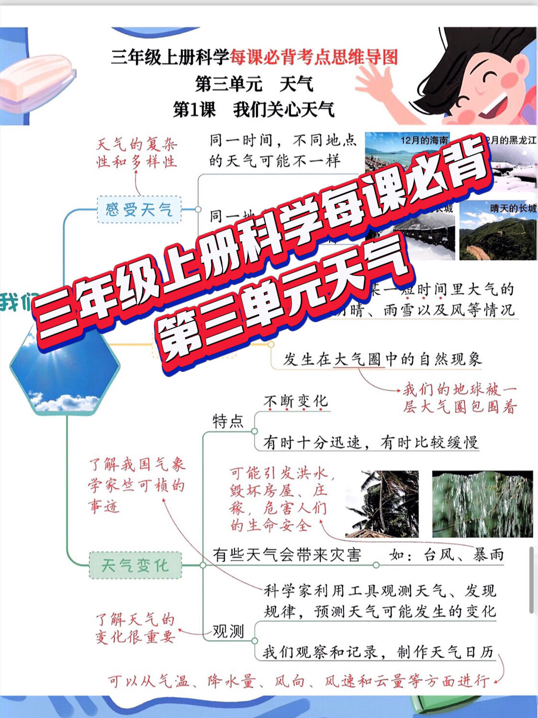 三年级上册教科版科学思维导图