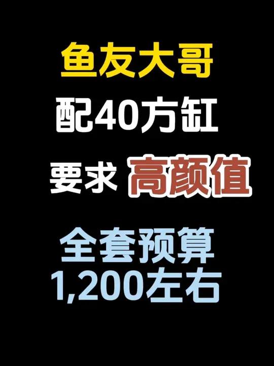 鱼缸在线搭配,40桌面底滤缸,鱼友预算全套1200左右