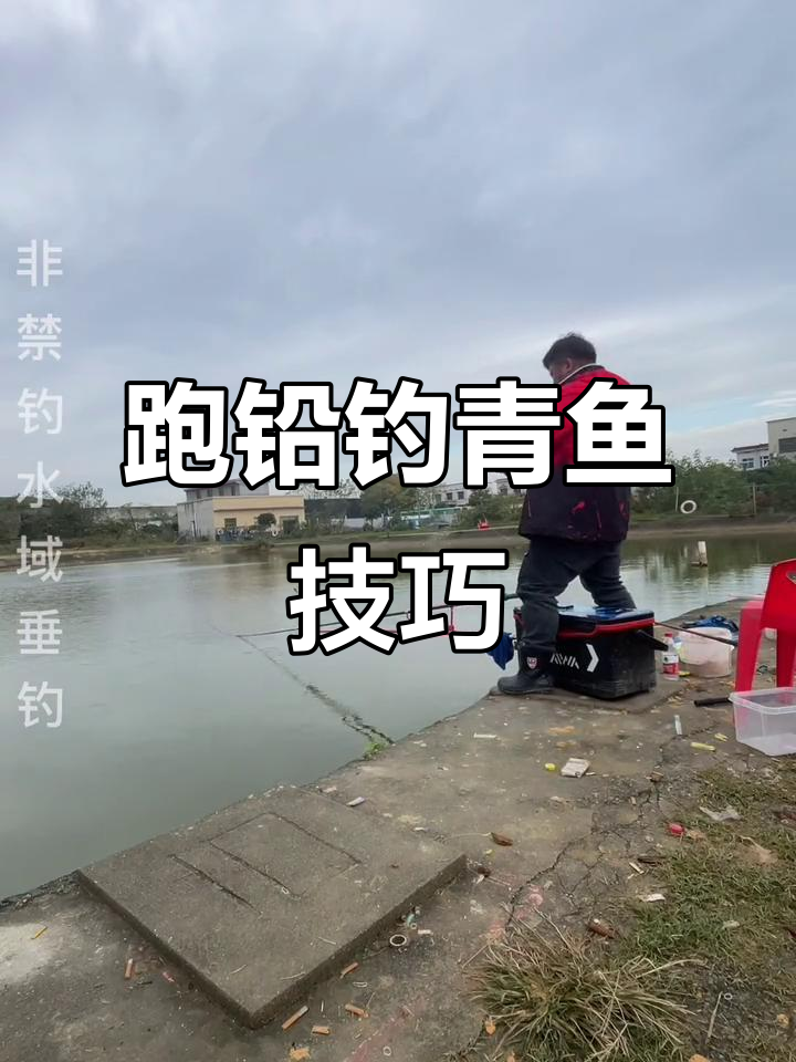 跑铅钓青鱼技巧大揭秘，掐鱼中如何操作