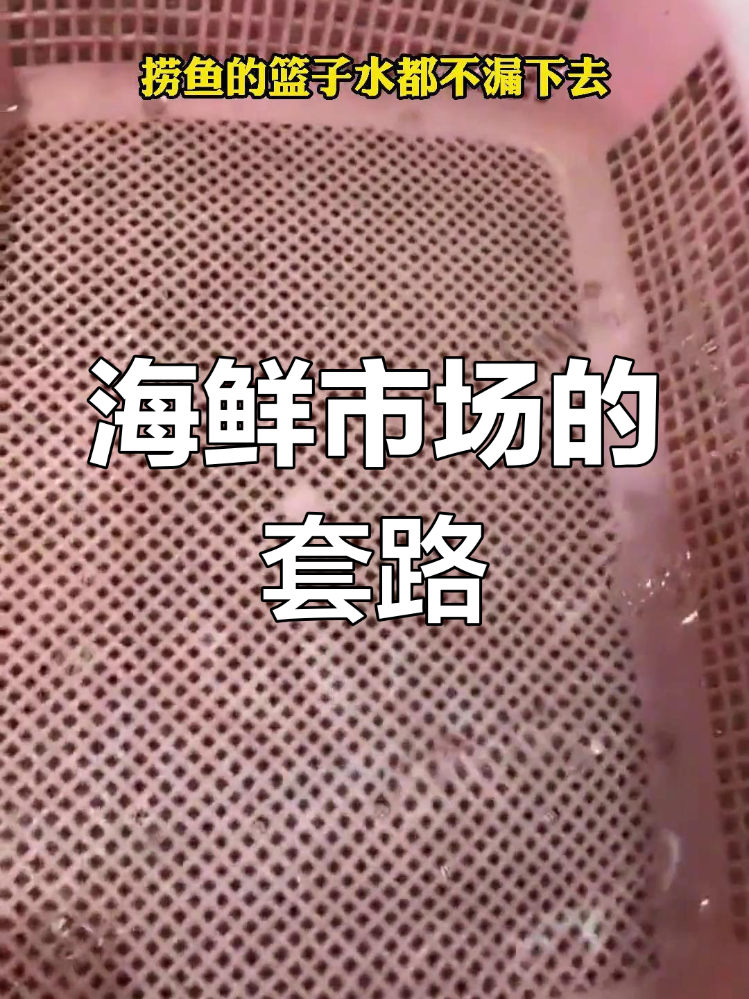 海鲜市场商家的秘密:捞鱼篮子竟然不漏水