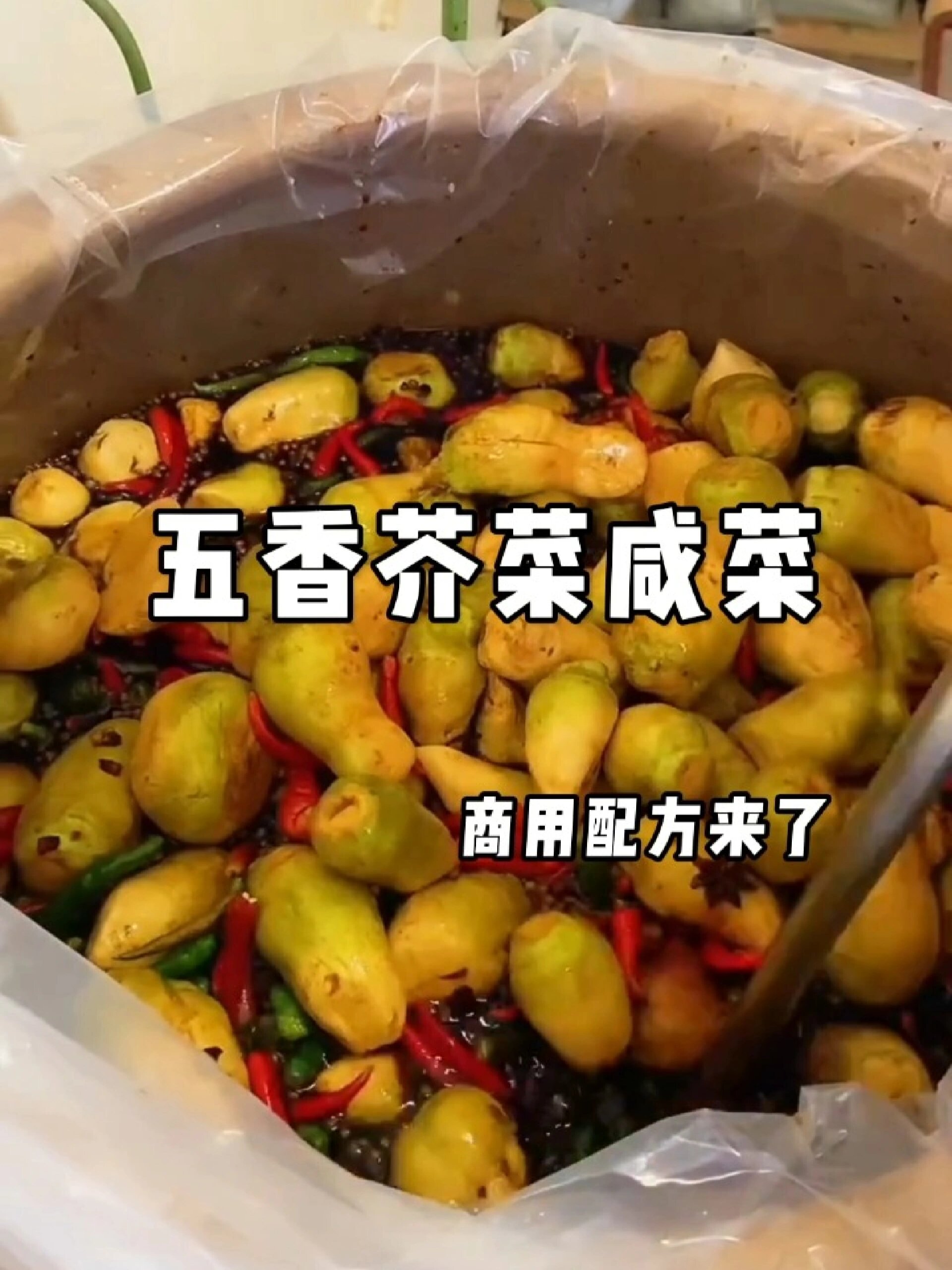 芥菜嘎咸菜详细腌制教程来了