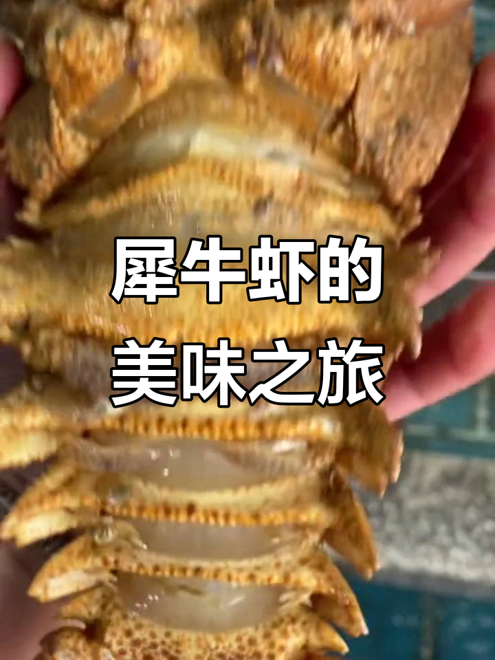 犀牛虾口感绝佳,甜美刺身与多种做法尽显美味