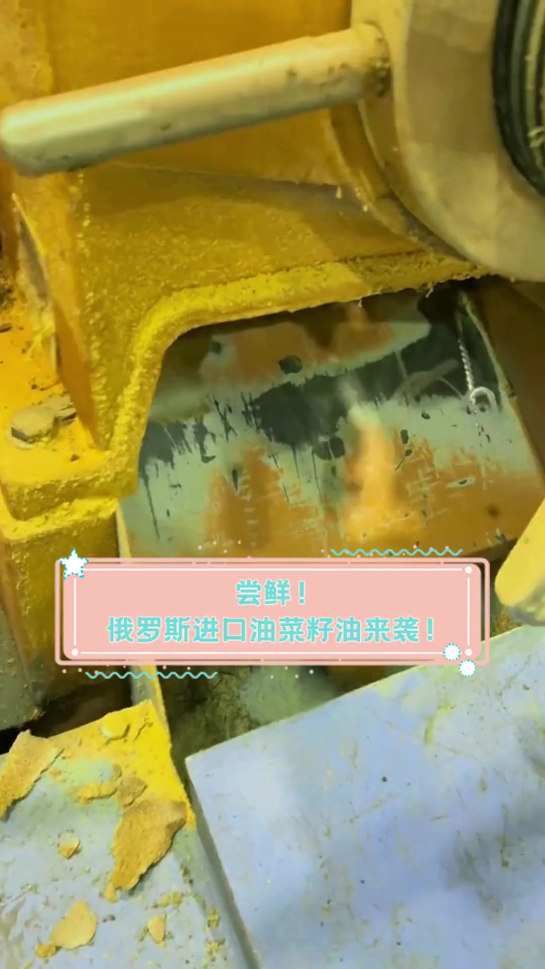 尝鲜!俄罗斯进口油菜籽油来袭!