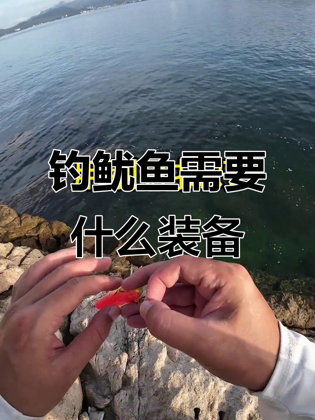 钓鱿鱼必备装备与技巧,轻松上手