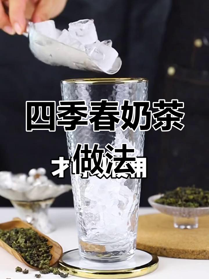 四季春奶茶制作技巧,冷泡更香