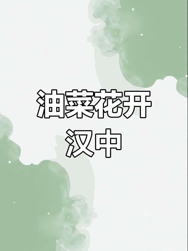 汉中春日,油菜花海如画,邀你共赏