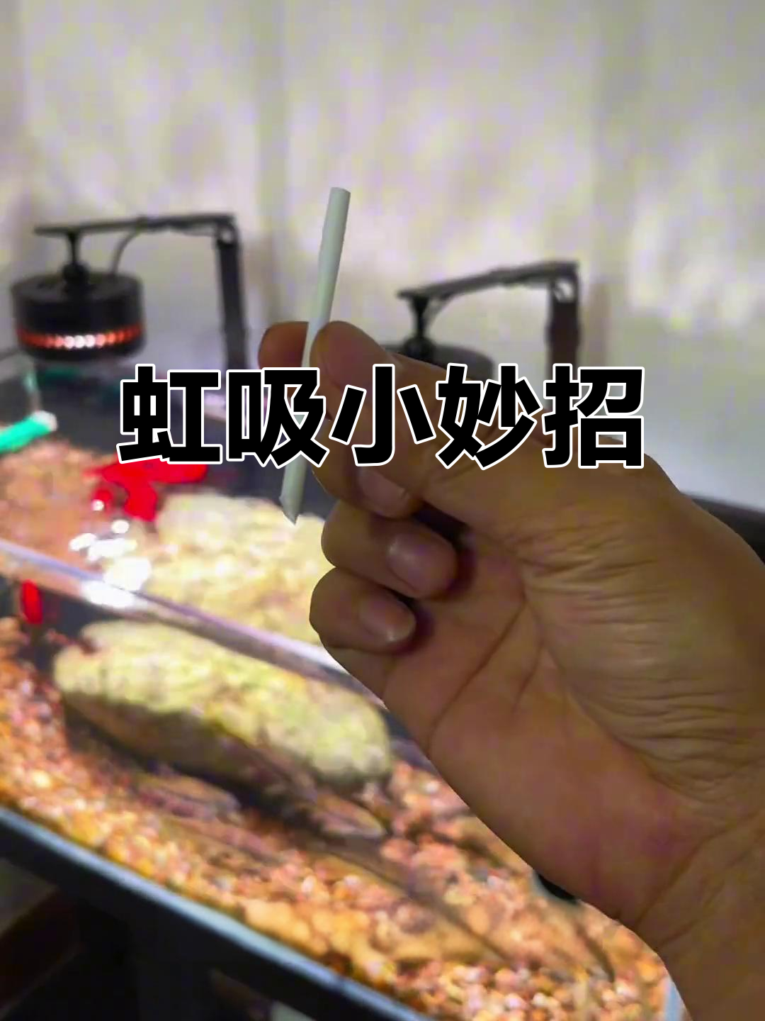 一根吸管轻松实现虹吸,鱼缸排水秒变神奇!