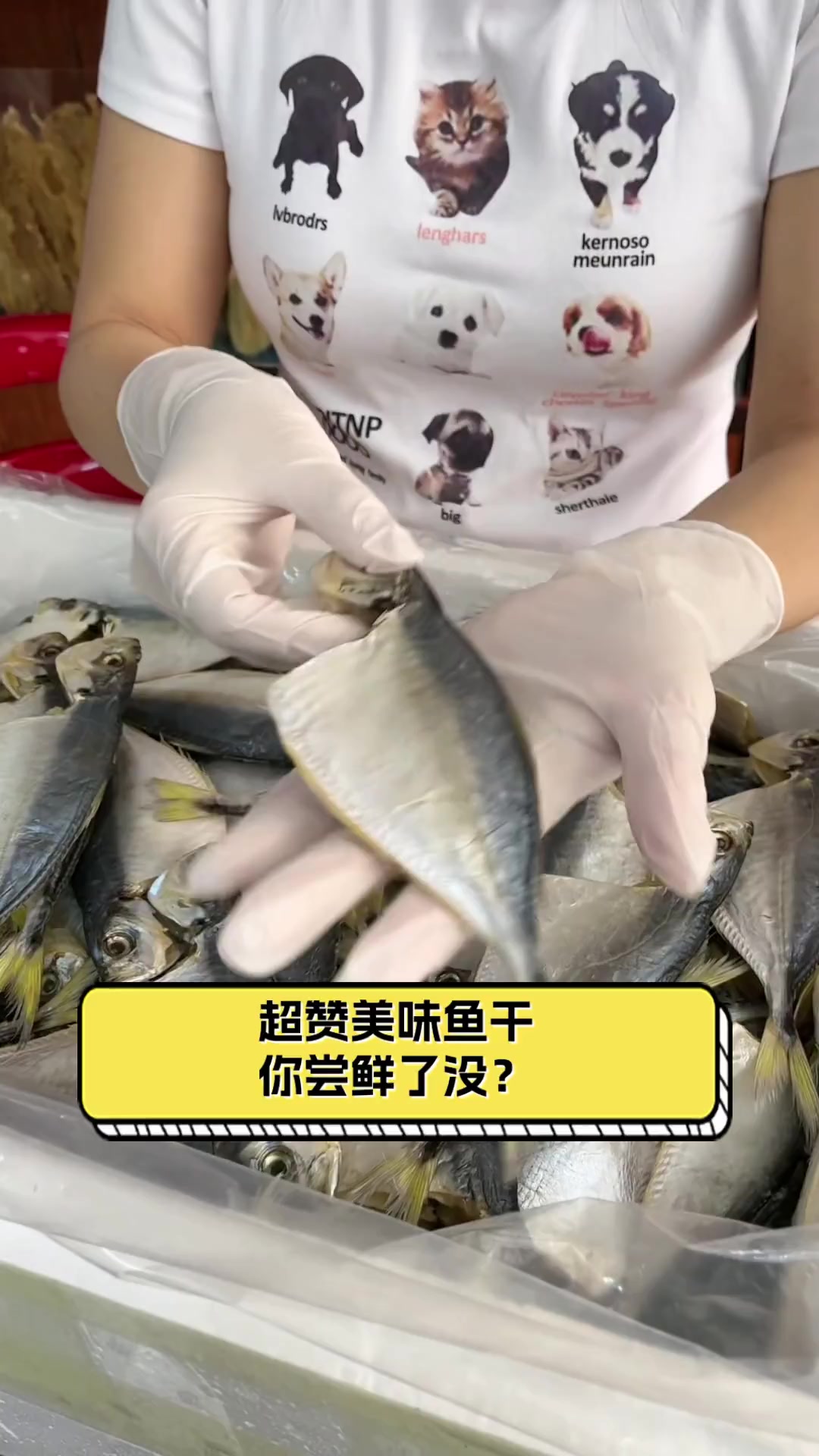 超赞美味鱼干,你尝鲜了没?