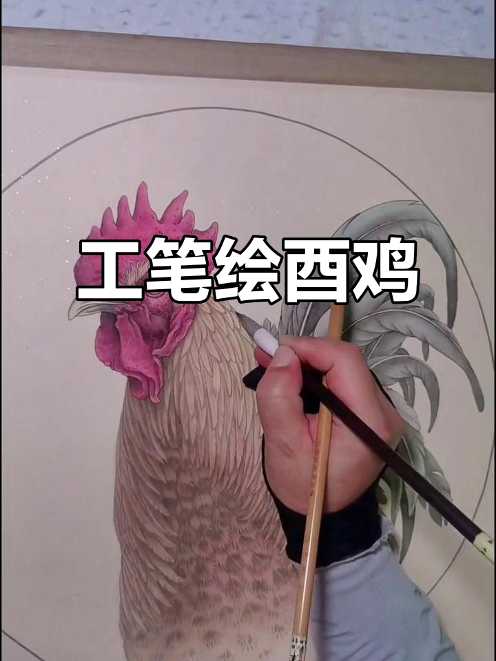 直播画酉鸡，工笔画技巧大揭秘