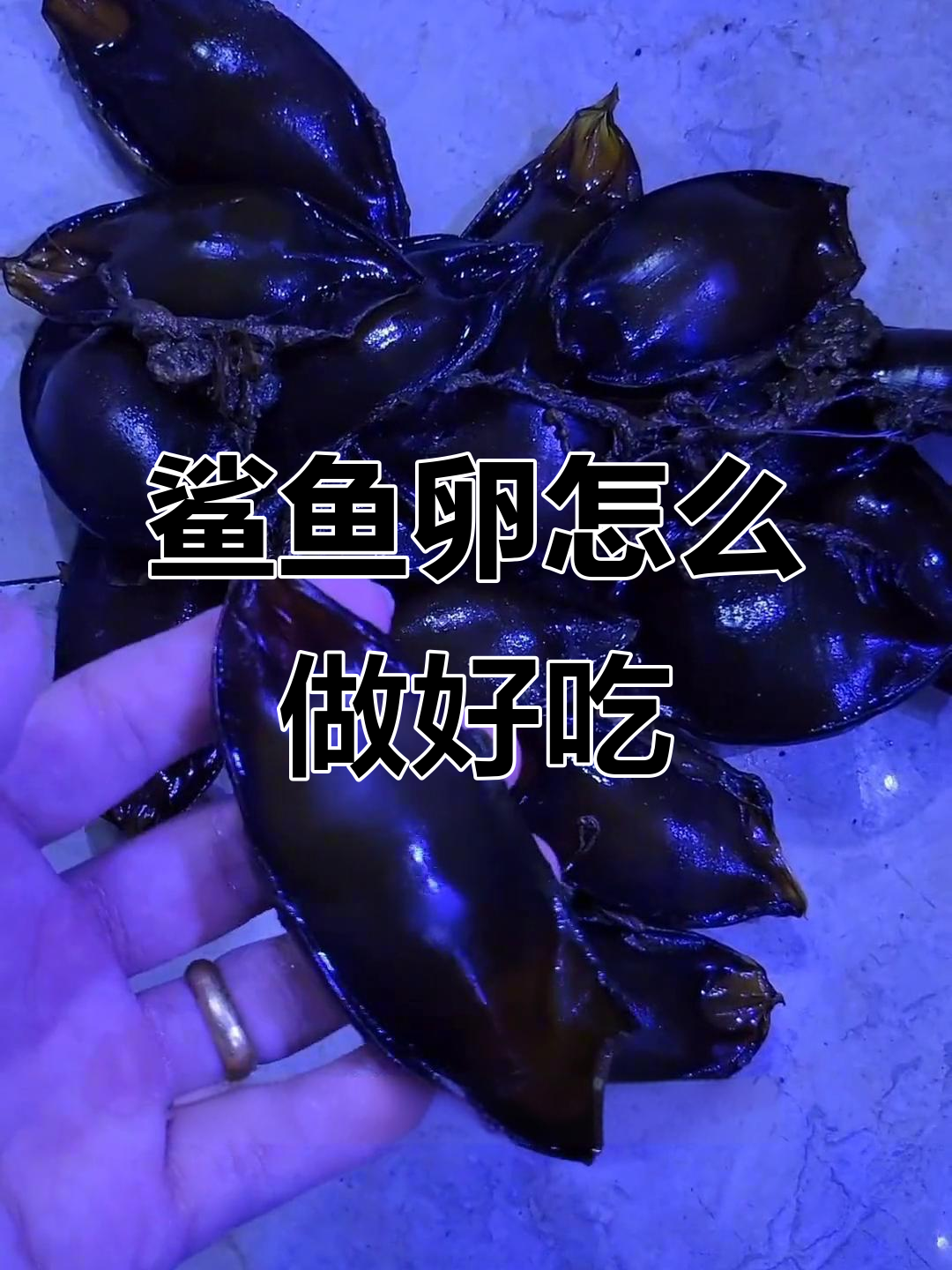 鲨鱼卵的百种吃法,评论区投票选最佳食谱!