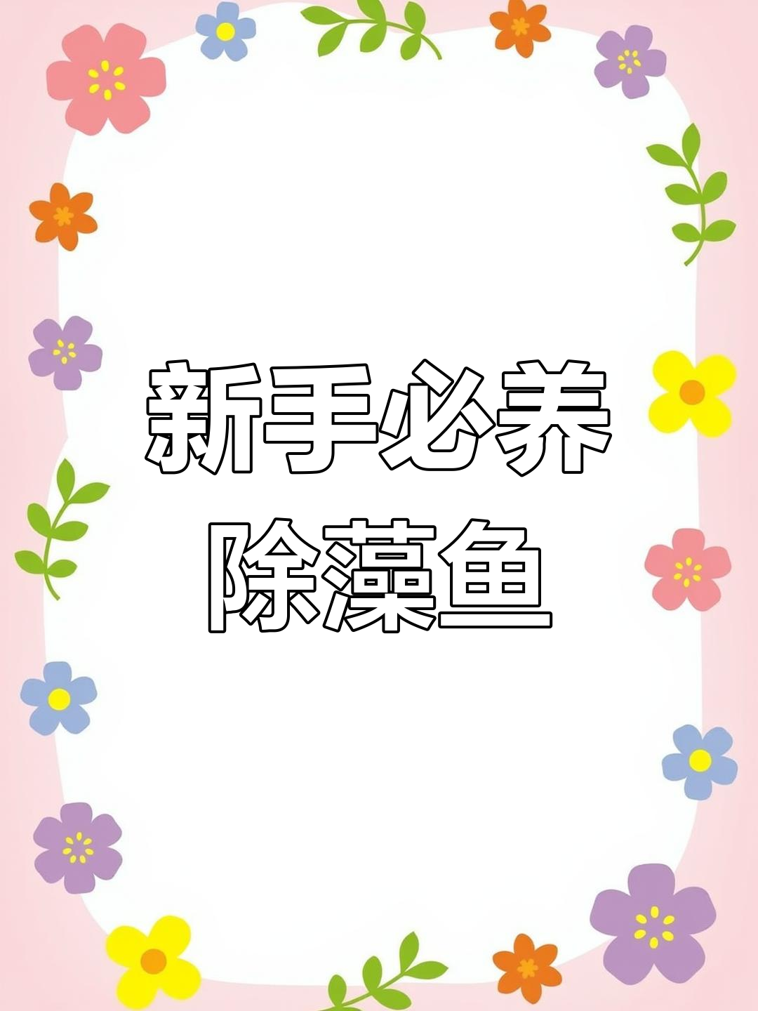 适合新手养的5种除藻工具鱼,最后一种效果惊人